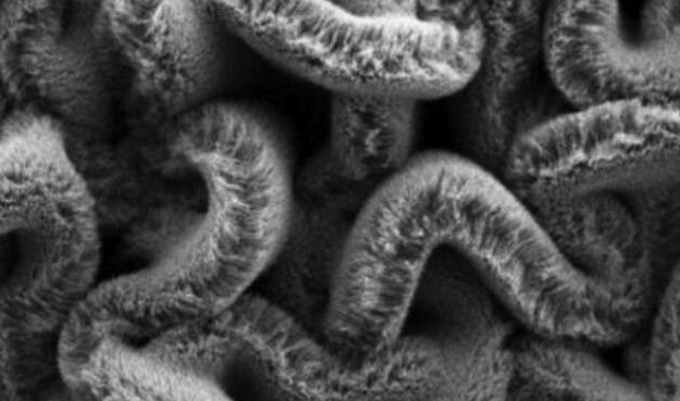 行业新闻：可拉伸的超等电容器，，，为柔性可衣着装备铺路