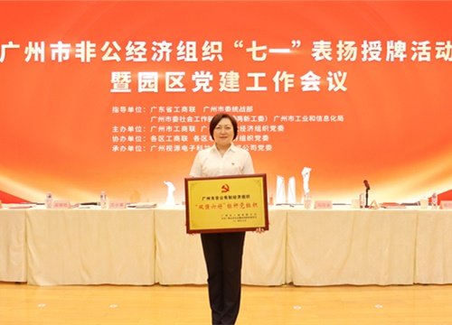 标杆引领，荣誉升级！集团党支部荣膺广州市非公有造经济组织“双强六好”标