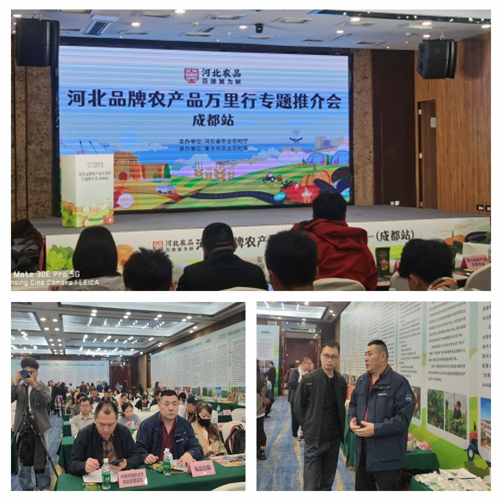 1-24102416292DM JDB电子·(中国区)试玩平台-JDB电子游戏官网