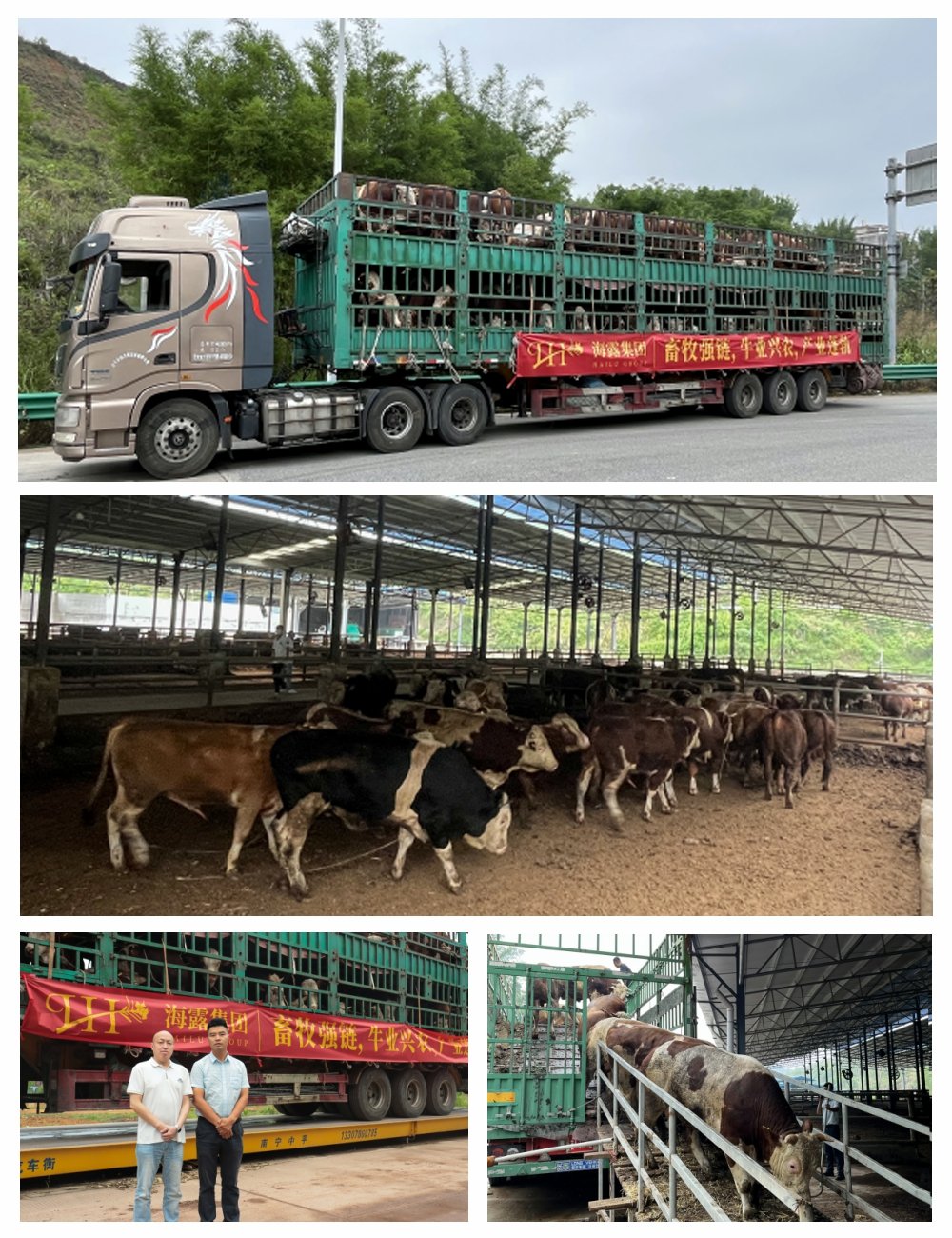 1-25052P9411LK JDB电子·(中国区)试玩平台-JDB电子游戏官网